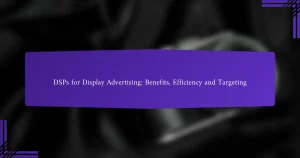 面向展示广告的DSP：优势、效率与定位