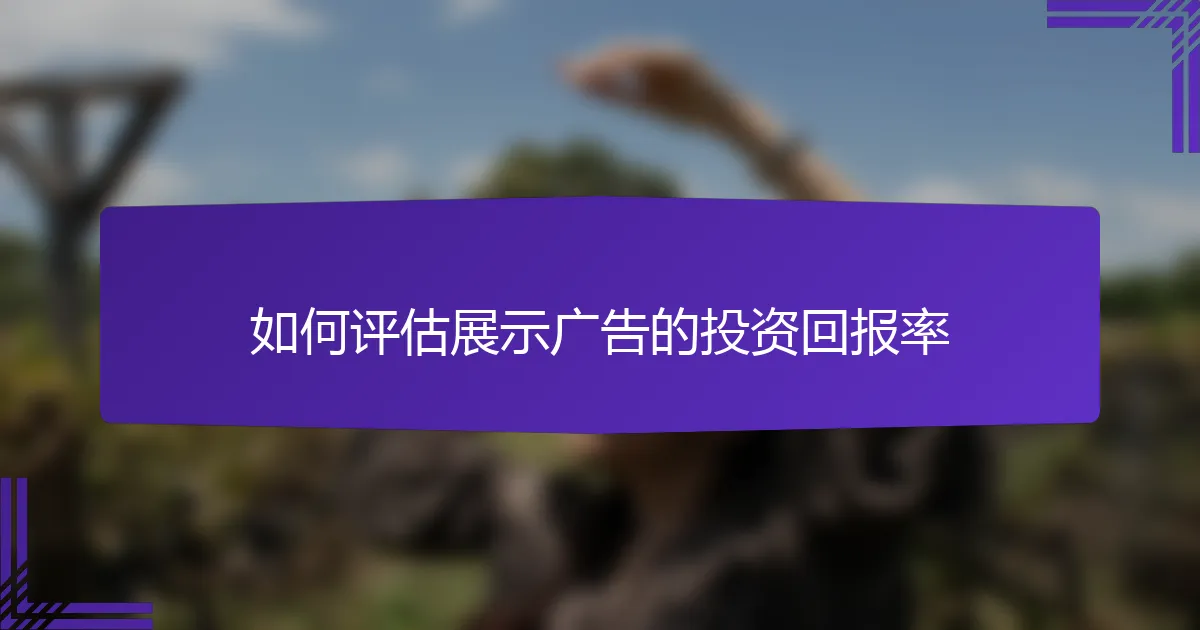 如何评估展示广告的投资回报率